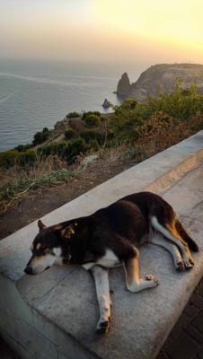 Прикрепленное изображение: IMG_20220827_190429.jpg